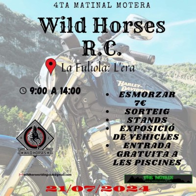 IV MATINAL MOTERA WILD HORSES RC.jpg