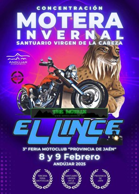 el lince.jpg