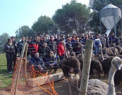 estrucos2008.jpg